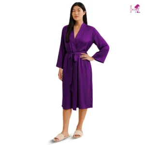 Model 1 in Brinjal Silk Robe for Women in Pakistan