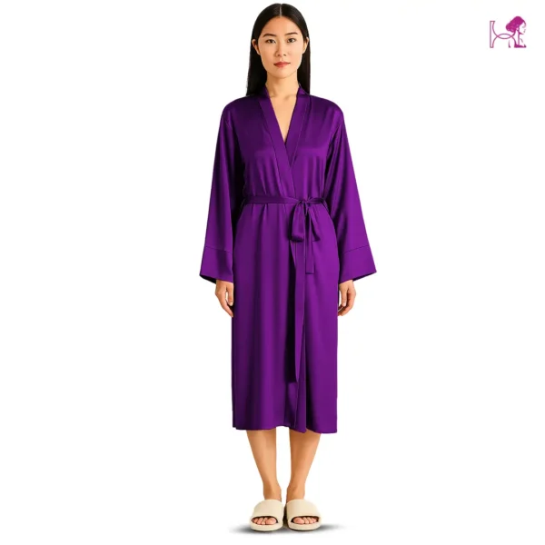 Model 2 in Brinjal Silk Robe for Women in Pakistan